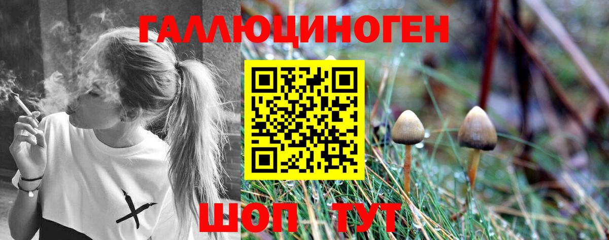 Мегион  Псилоцибиновые грибы MAGIC MUSHROOMS  закладка  Вход с VPN 